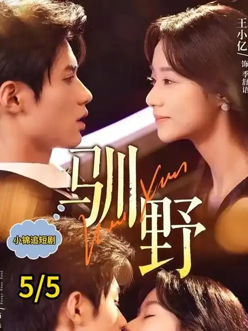 老板的替身女友竖屏短剧手机看